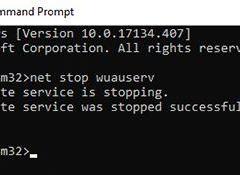 Win10ϵͳȡҪ´ʾķ