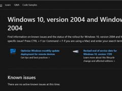 ΢ Win10 2004 ֧ĵҳʽ