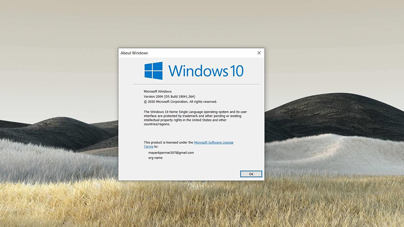 Win10 20205¸µDISM߳