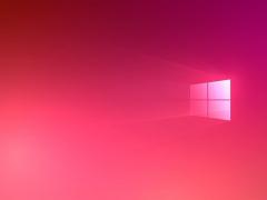 Win10 ⡶Pride 2020 Flags