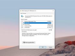 Win10Bugļ
