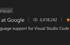 ΢ VS Code  Go ԲǨ Go Ŷά