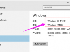 Win10רҵ漤ԿWin10Կʹü