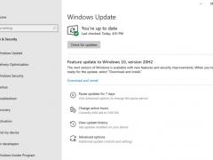 ΢ Win10 20H2 Beta Ԥ 19042.330 KB4557957 