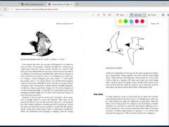 ΢ Chromium  Edge PDF Ķ¹ܣĹ顢ģʽ
