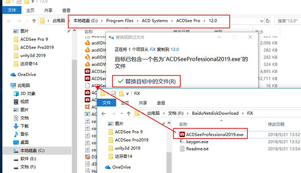 ACDSee Pro 9İ
