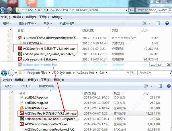 ACDSee Pro 9ʽ