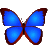 Ƭ(bkViewer) v5.5.5.0ٷİ