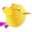ŸŸ칫԰ v2.26ɫ