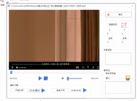 ʽ(FormatFactory) V4.9.5.0ʽ