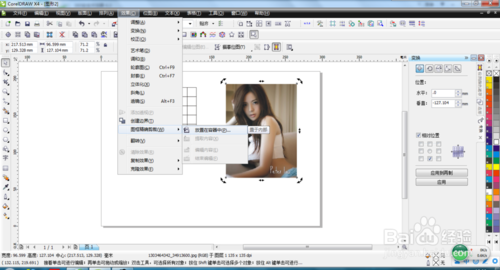 CorelDRAW X4רҵǿ