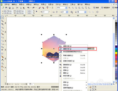CorelDRAW X4ʽɫ