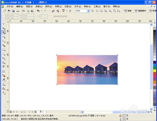 CorelDRAW X4ʽɫ