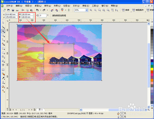 CorelDRAW X4ʽɫ