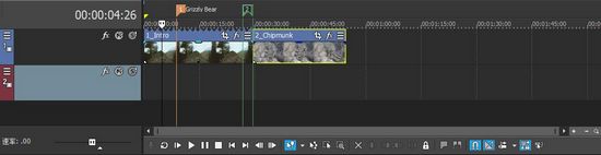 Movie Studio 15 v15.0.0.116ɫ