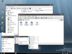 ReactOS Ƹȫְ߸Ľ洢ģ