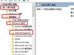 Win10 edge