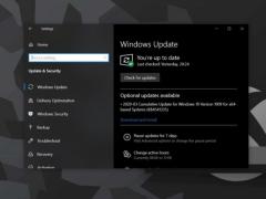 ΢ Win10 1909KB4565483²Build 18363.959
