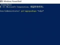 Win10 edgeж
