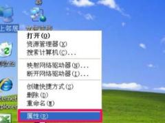 Win10ϵͳжnetware
