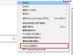 Win10 edgejsʾ