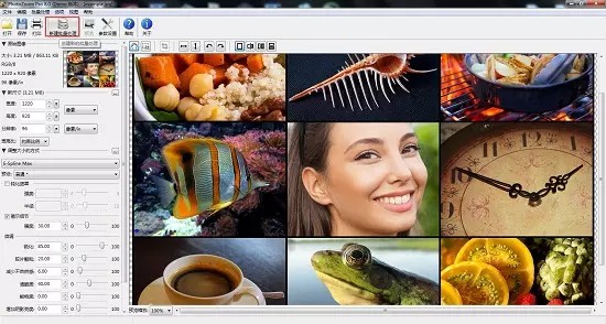 PhotoZoom Pro v8.0.4 