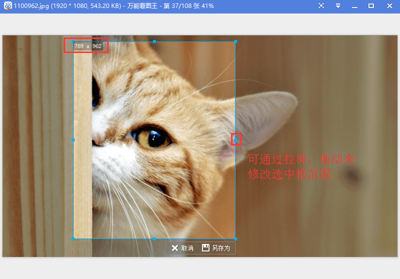 ܿͼ v1.8.8.6191 ɫ