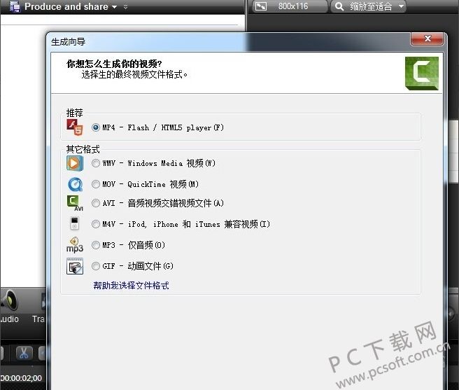 Camtasia Studio v19.0.7.5034 ɫ