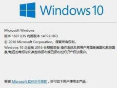 Win10ҵרҵ