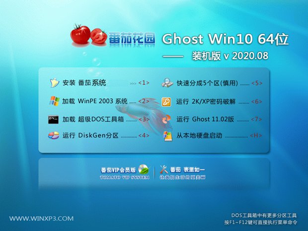ѻ԰ Win10רҵ 64λ V2020.08 ⼤
