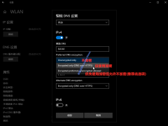 ΢ĽWin10DNS+ָ
