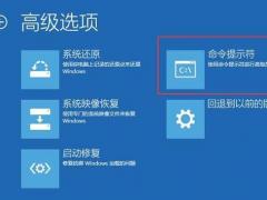Win10 0xv0000225޷