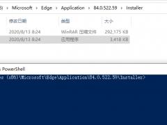 Win10 ChromiumEdge޷жأθɵ