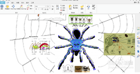 iMindMap 11(ֻ˼άͼ)İ