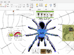 iMindMap11˼άͼôʾ