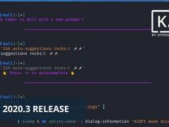 Kali Linux 2020.3 ʽ