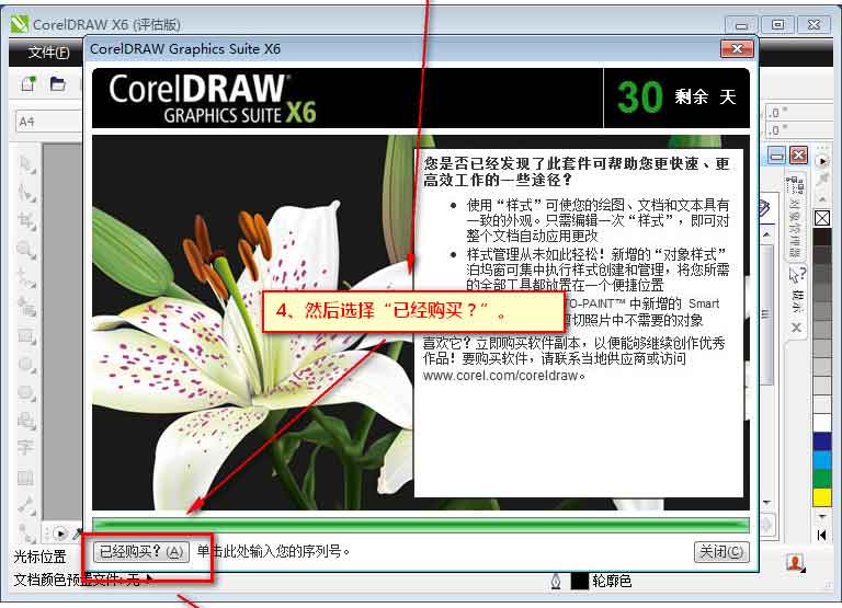 CorelDRAW X6 ɫ
