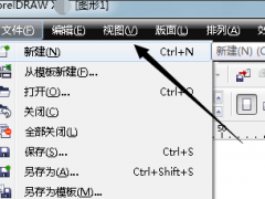 CorelDRAW X6ôֱߣ