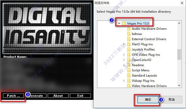 Vegas Pro 13 (Ƶ) ƽ