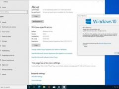 Win10 200920h2RTM汾ŻΪ19042.450