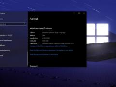 Win10 20h22004