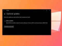 ΢Win10 2004ѡ ޸BUG