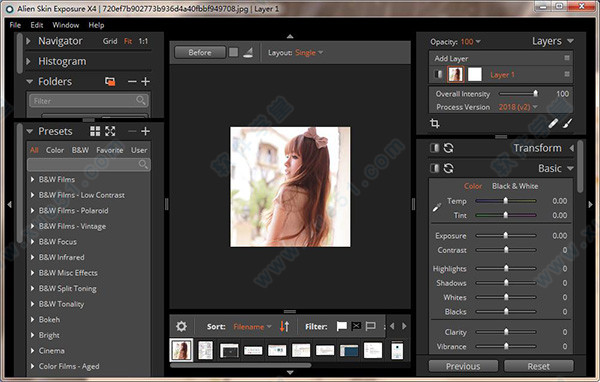 Alien Skin Exposure X4v4.0.2.44
