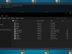 Win10ĬϽ USB  1903谲ȫ