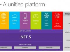 ΢ֹͣ .NET Standard ת.NET 5