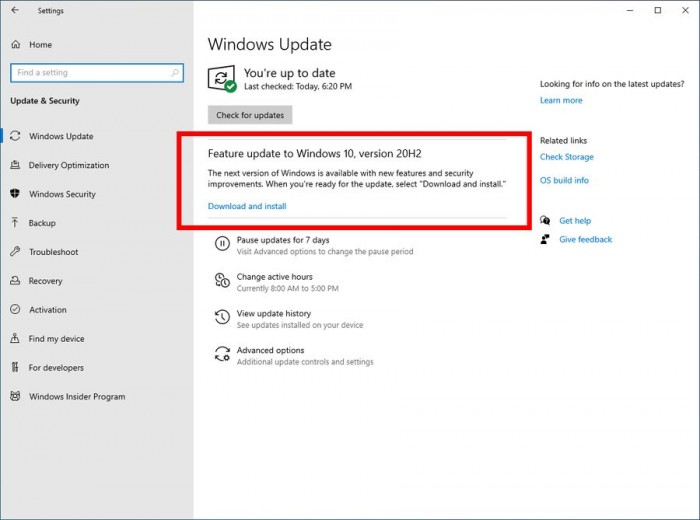 Win10 2009ٷΪWindows 10 October 2020ܸ
