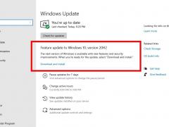 ͨԤȡ Win10 2009 µļ