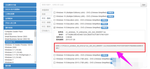 ΢MSDN Win10רҵ_Win10 64λiso