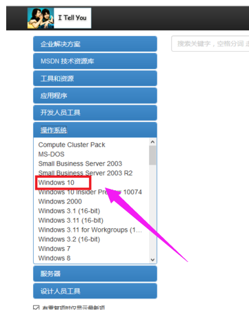 ΢MSDN Win10רҵ_Win10 64λiso