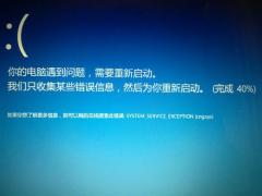 ʾSYSTEM SERVICE EXCEPTIONĽ취